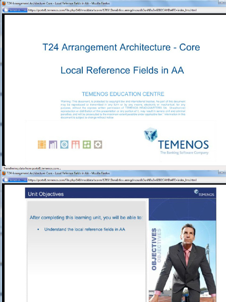 T24 AA - Core - Local Reference Fields in AA | PDF