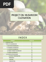 Mushroom Classification Overview | PDF | Mushroom | Edible Mushroom