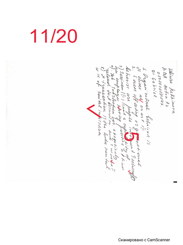 rakhimiva-zebiniso-section-2-camscanner-30-05-2020-13-38-20-pdf