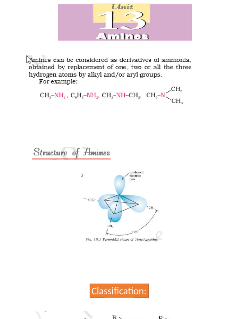 AMINES | PDF | Amine | Chemical Compounds