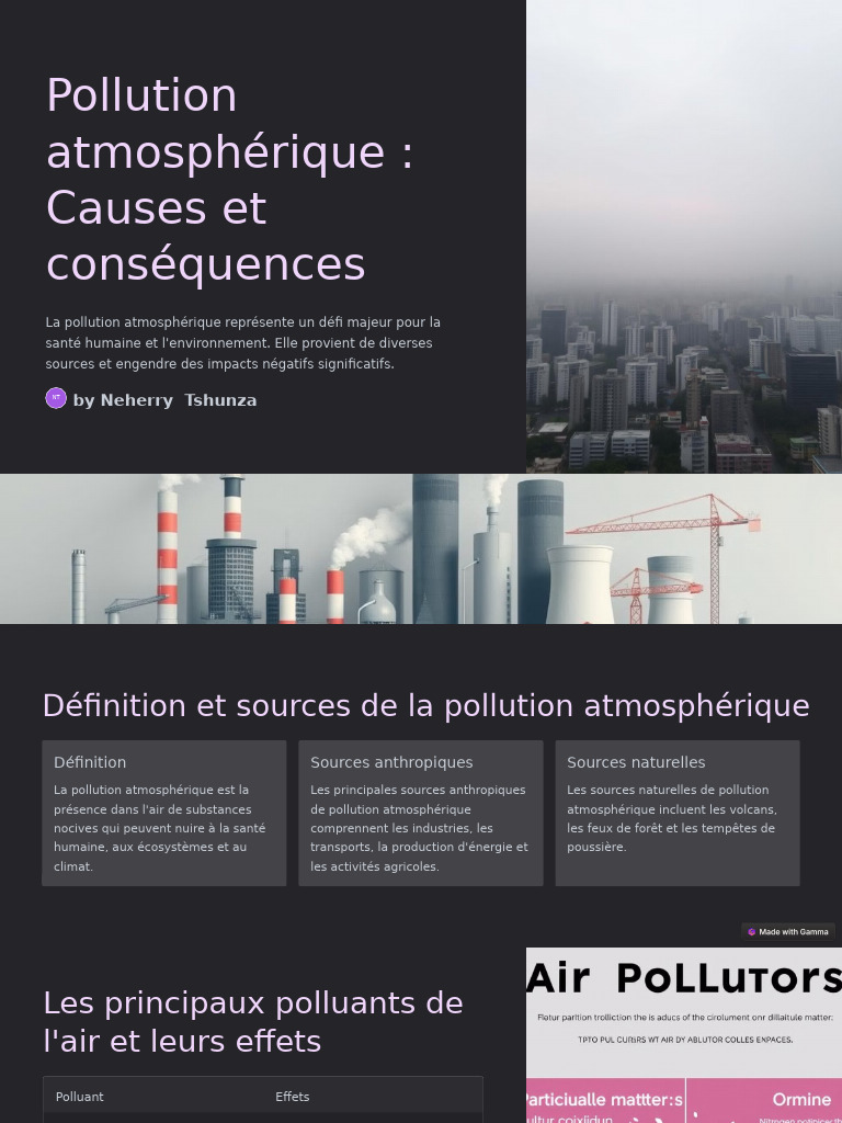 Causes et conséquences de la pollution de l'air | PDF | Pollution de l ...