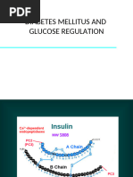Novolog 70/30 Dosing Instructions | PDF