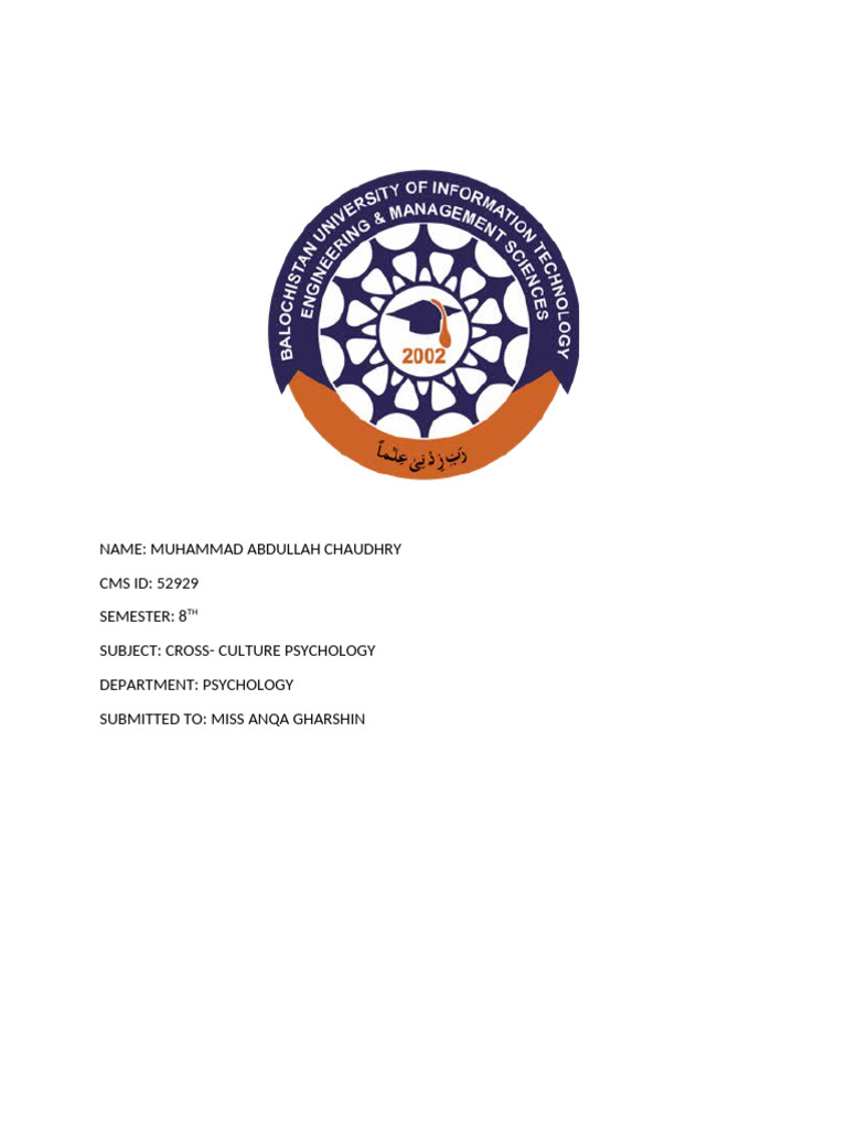 Overview of Punjabi Culture and Folklore | PDF | Punjab