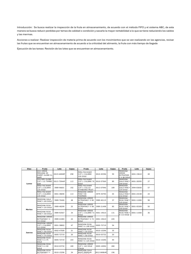 Plan Trabajo Soledad | PDF