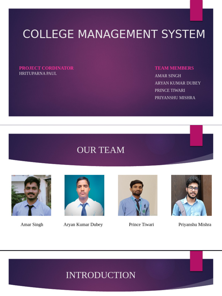 Final Project - Presentation | PDF | Databases | Automation
