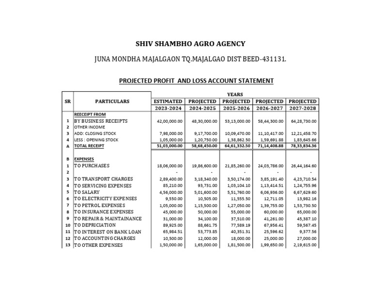 Projected Profit and Loss Statement 2023-2028 | PDF