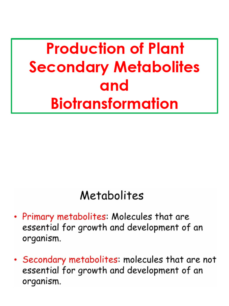 Plant Secondary Metabolites Andbiotransformation | PDF