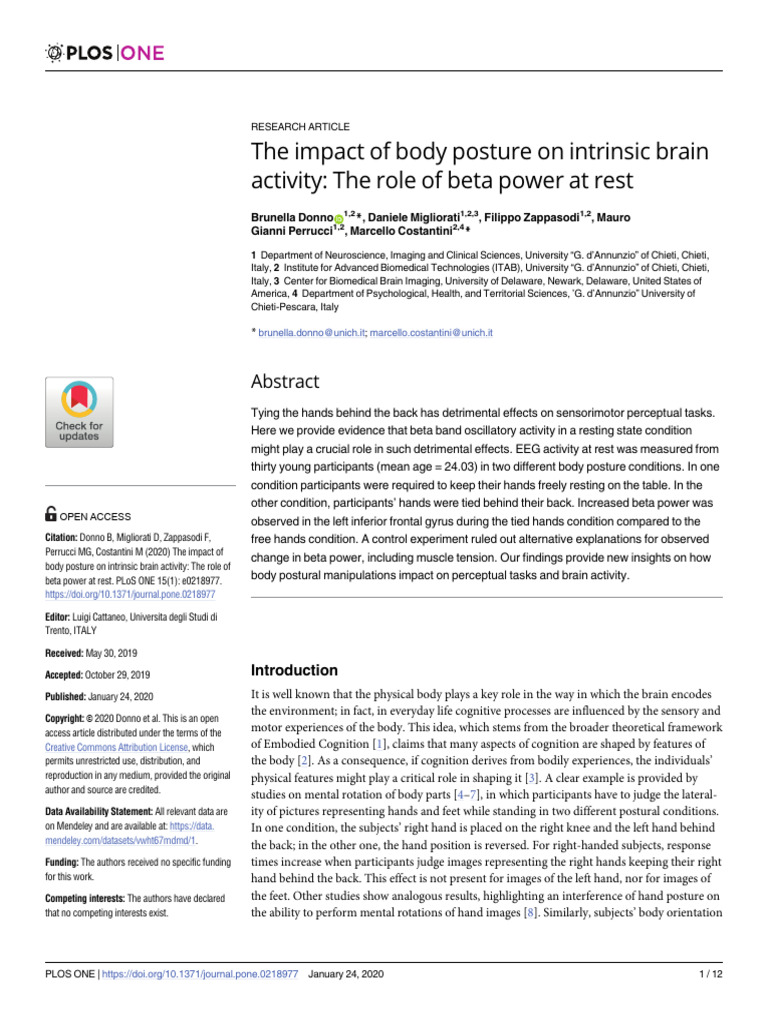 The Impact of Body Posture On Intrinsic Brain | PDF ...