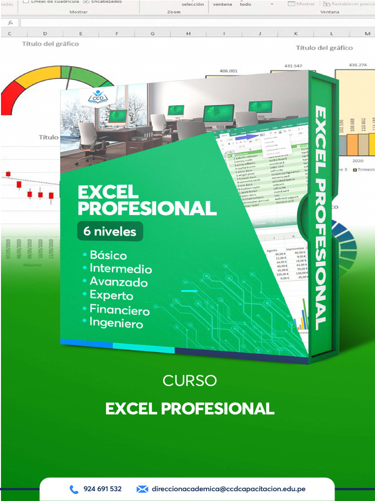 Diplomado en Excel Profesional Online | PDF | Microsoft Excel ...