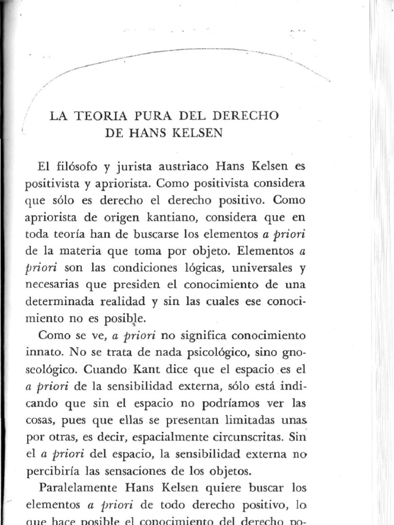 Teoria pura del derecho resumen_teoria_online