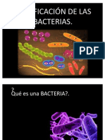 Clasificacion de Bacterias