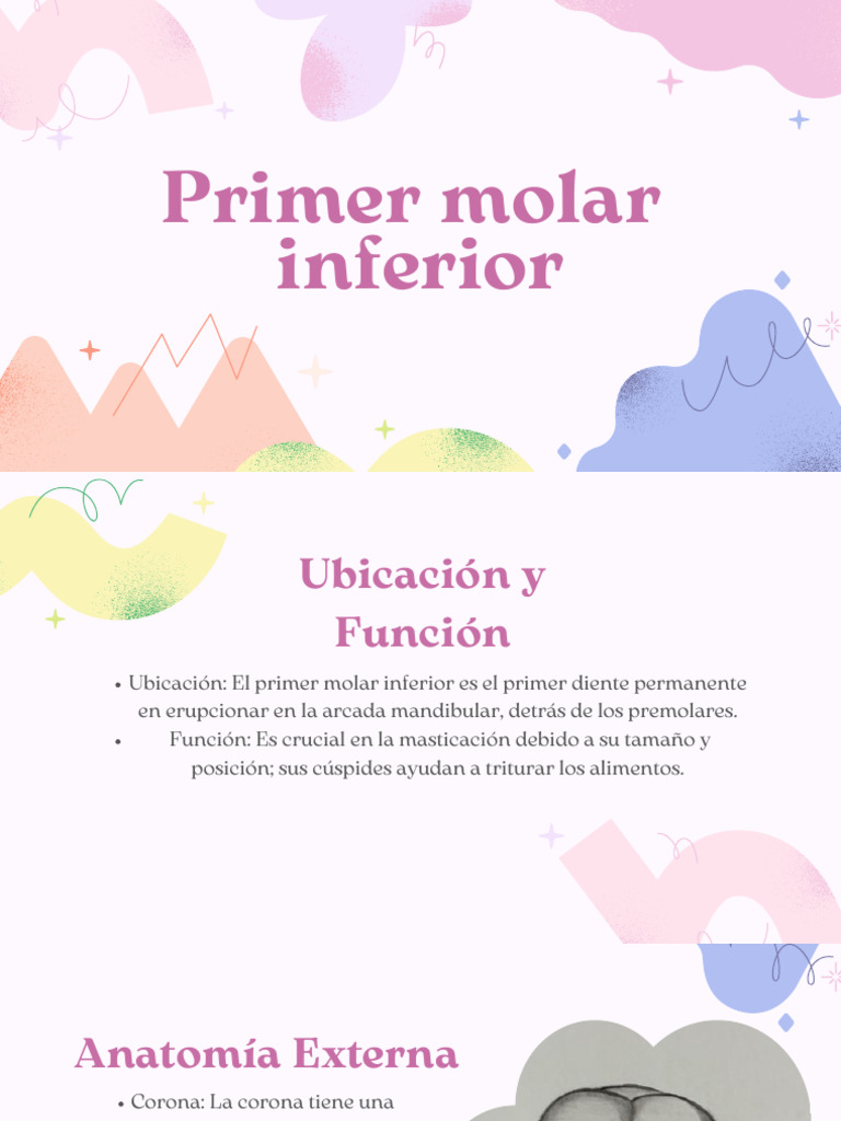 Presentación Moderna Alegre Colorida Dinámica Rosa PDF | PDF | Anatomia ...