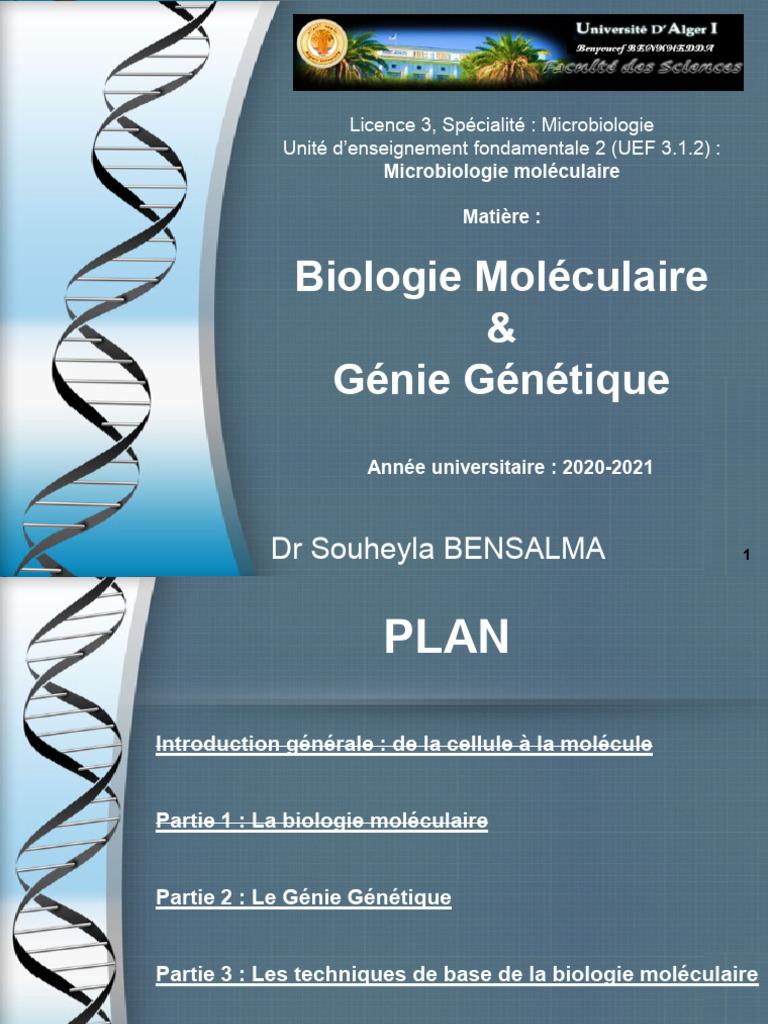 6-cours-bmgg-bensalma-l3-microbio-partie-2-le-g-nie-g-n-tique-2-exam