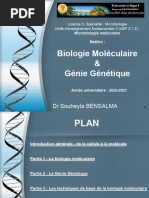 Fiche technique du logiciel Géniegen2 | PDF | Enzyme | Fichier informatique
