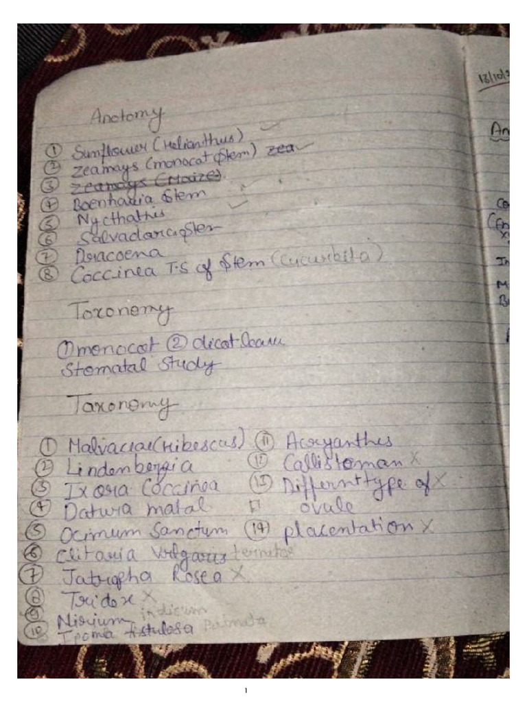 Botany Practical File | PDF