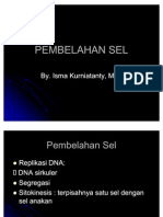 Reproduksi Sel