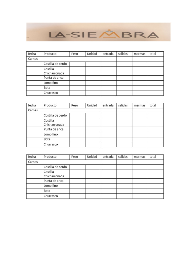 Formato de Inventarios Mermas | PDF