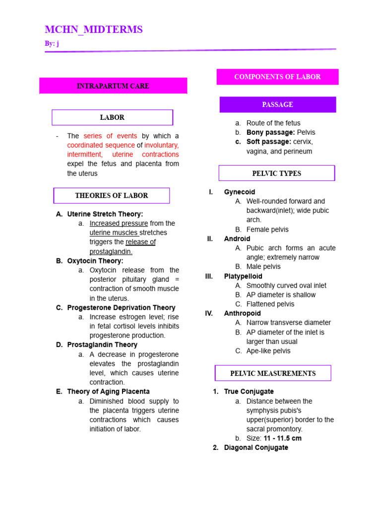 Theories and Stages of Labor Explained | PDF | Pelvis | Childbirth