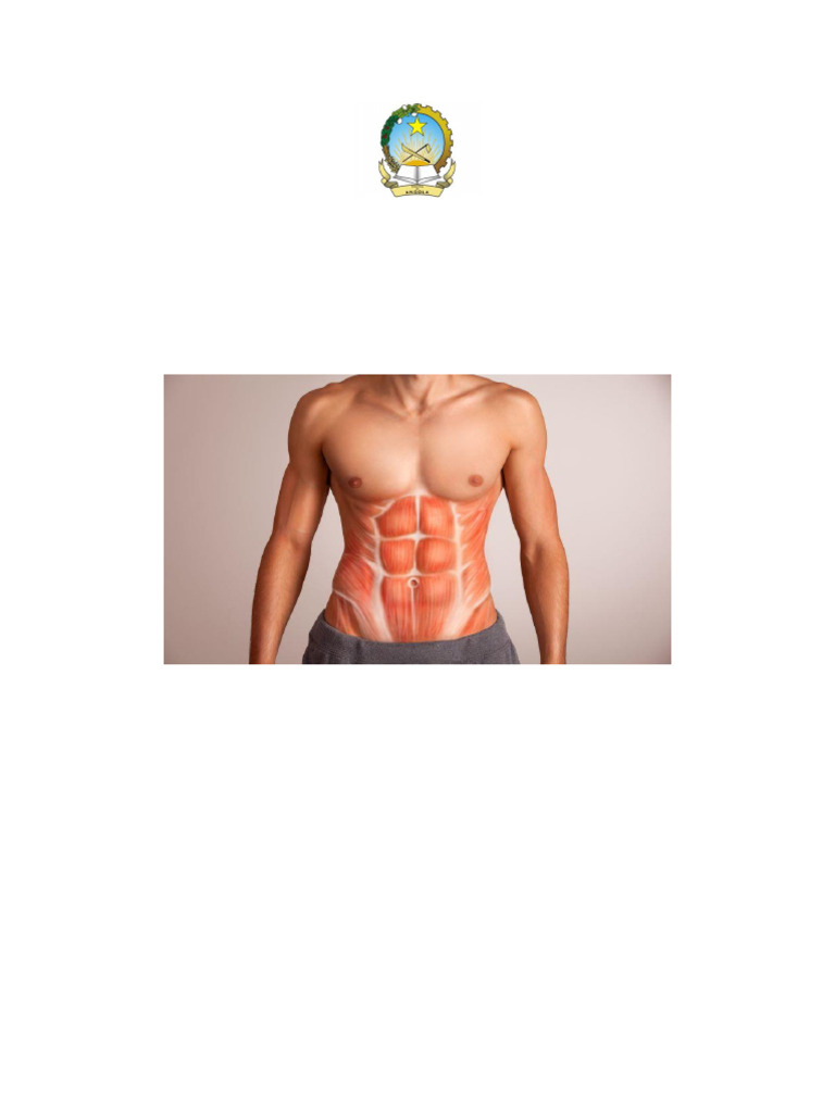 Trabalho Anatomia Capa Pdf Tecido Macio Abdômen