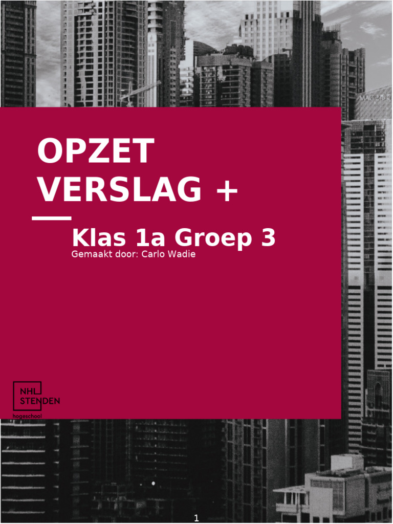 OPzet Verslag + User Interview Carlo | PDF