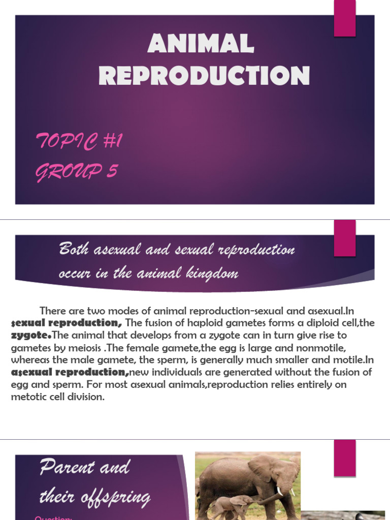 Animal Reproduction: Asexual vs. Sexual | PDF | Sexual Reproduction ...