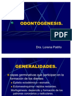 ODONTOGENESIS