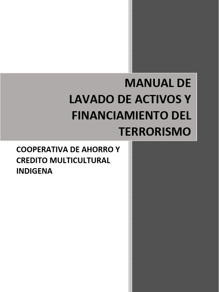 Manual de Lavado de Activos y Riesgos | PDF | Lavado de dinero ...