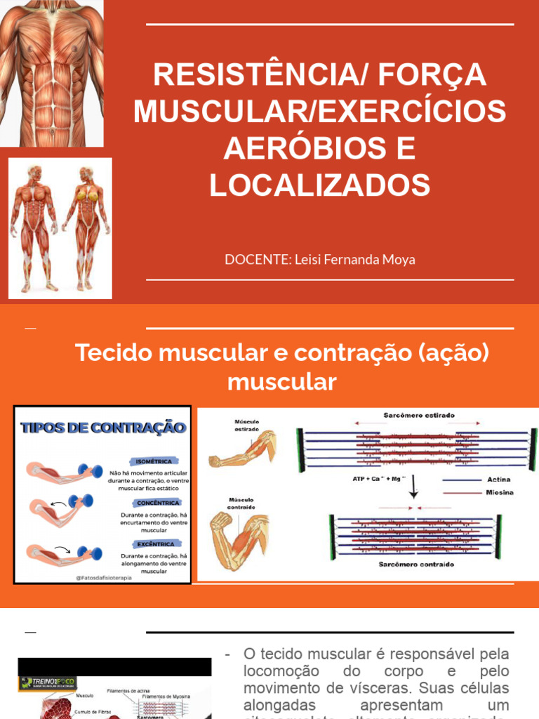 Força e Resistência Muscular: Guia Completo | PDF | Músculo