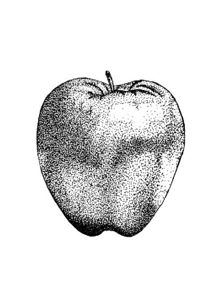 Stippling Assignments class 12th | PDF
