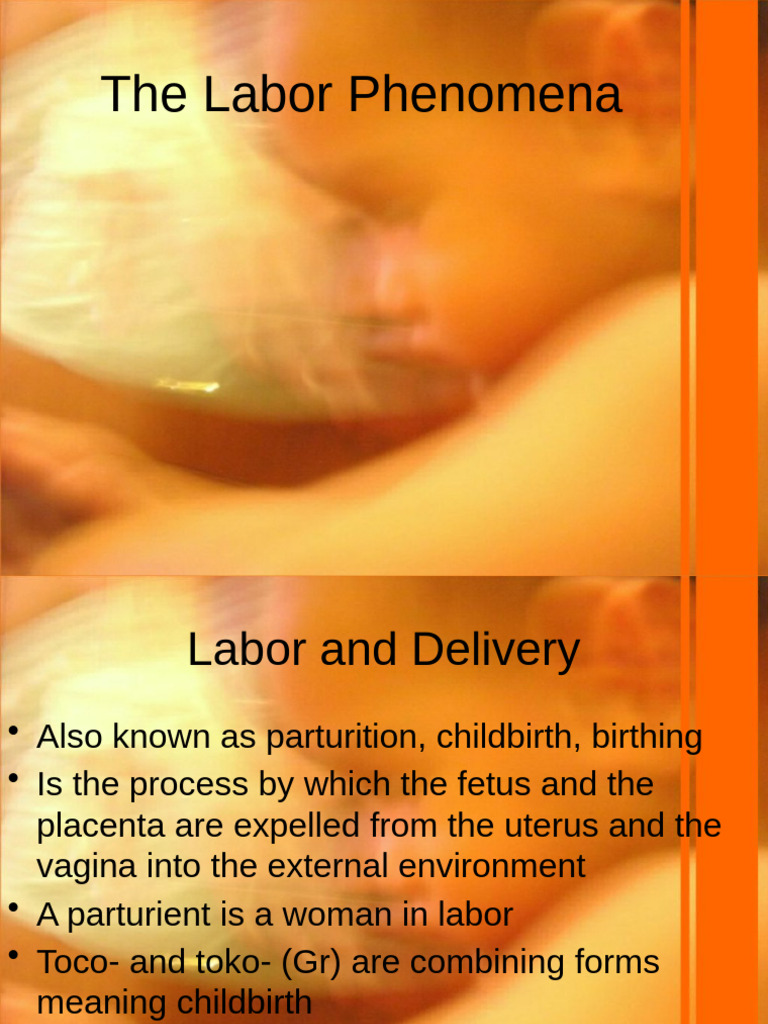 theories of labor | PDF | Childbirth | Pelvis