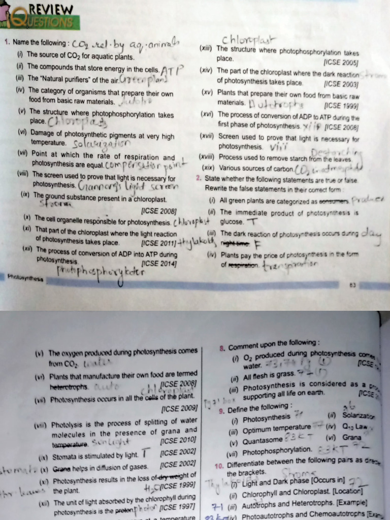 Ch 5 bio class 10 pdf photosynthesis chloroplast