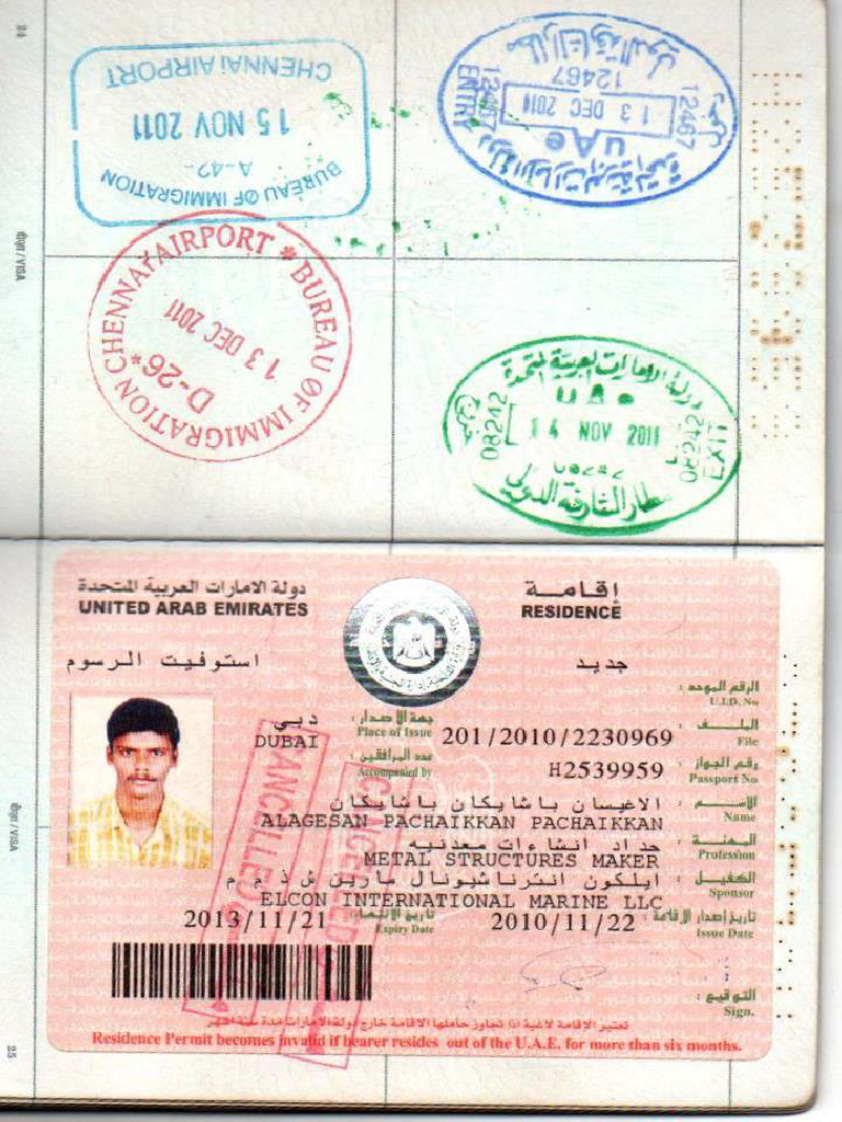Visa Sample | PDF