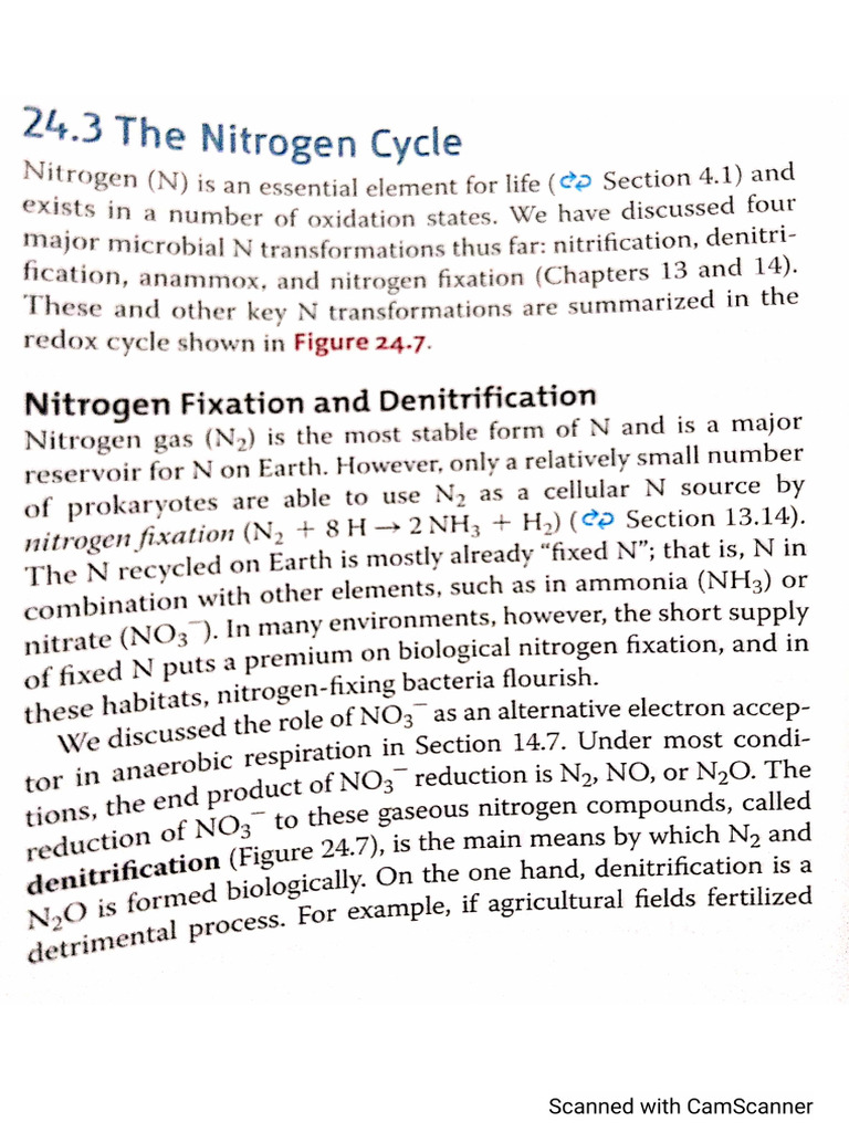 Nitrogen Cycle | PDF