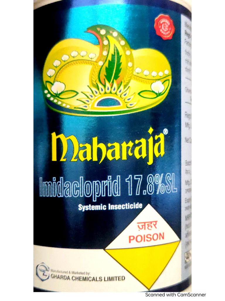 Maharaja | PDF
