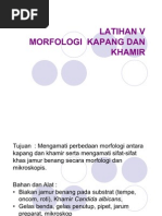 Download Asisitensi jamur by Dhinar Nadi Dewii SN81018416 doc pdf