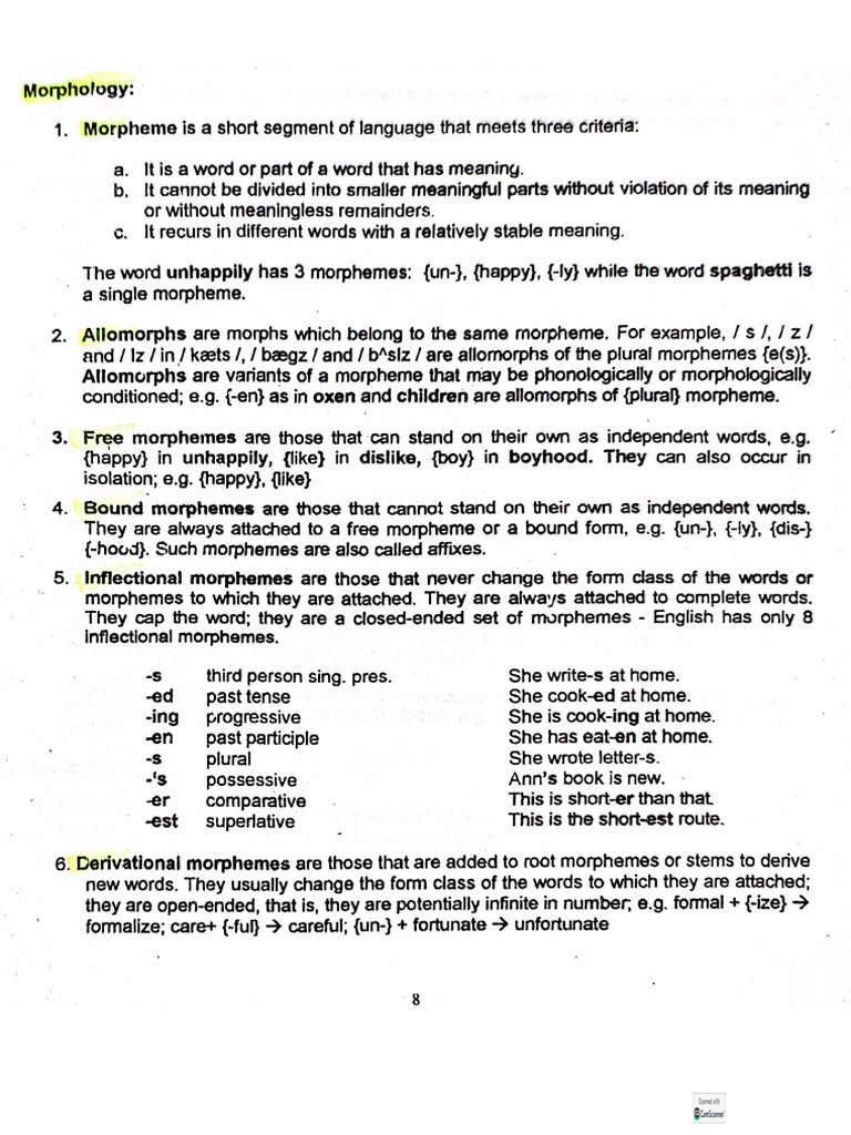 MORPHOLOGY | PDF