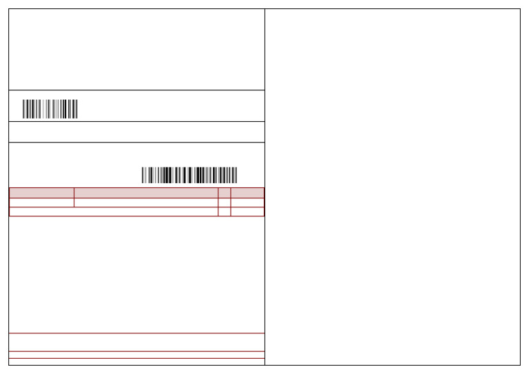 Courier Invoice for Order #2265687304 | PDF