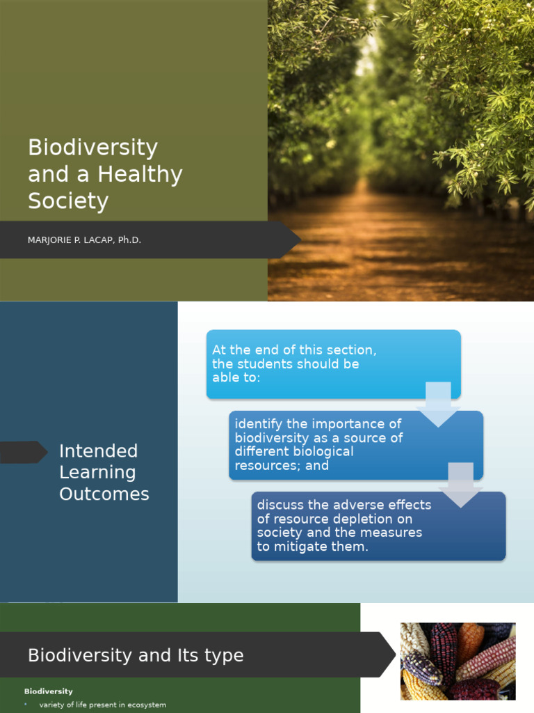 Biodiversity and A Healthy Society | PDF | Water | N Ox