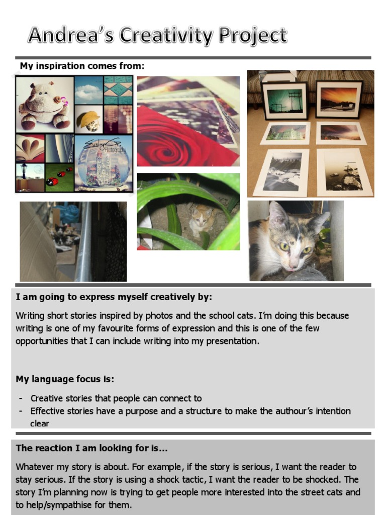 Creativity Project Outline | PDF | Social Science