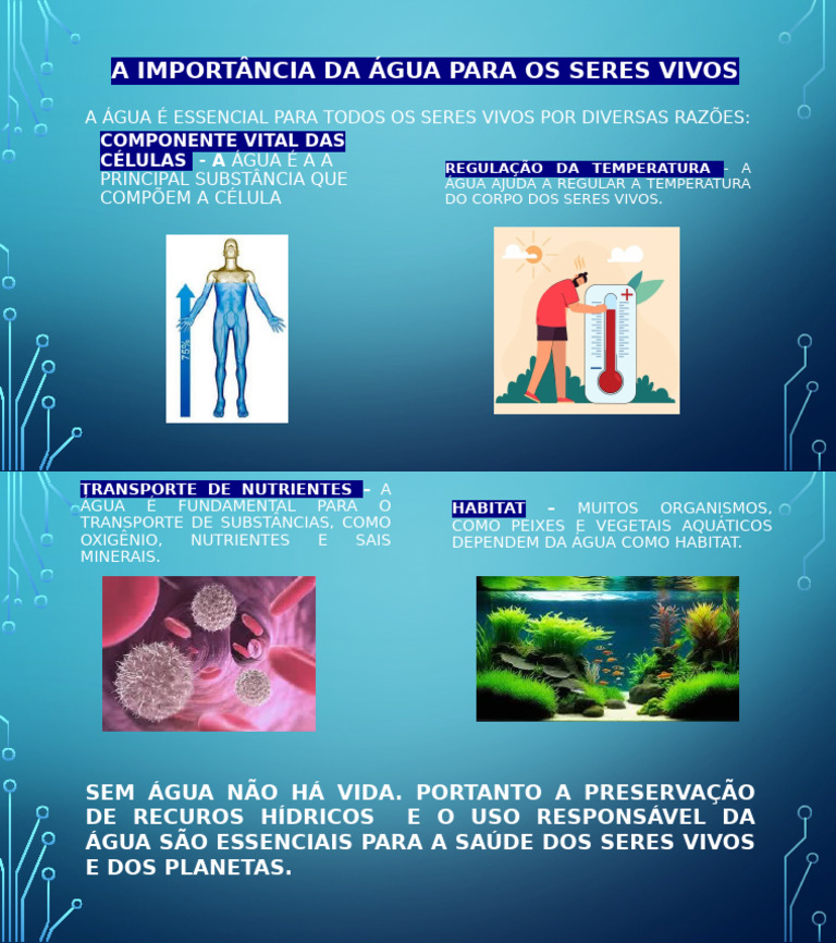 A Importância Da Água para Os Seres | PDF