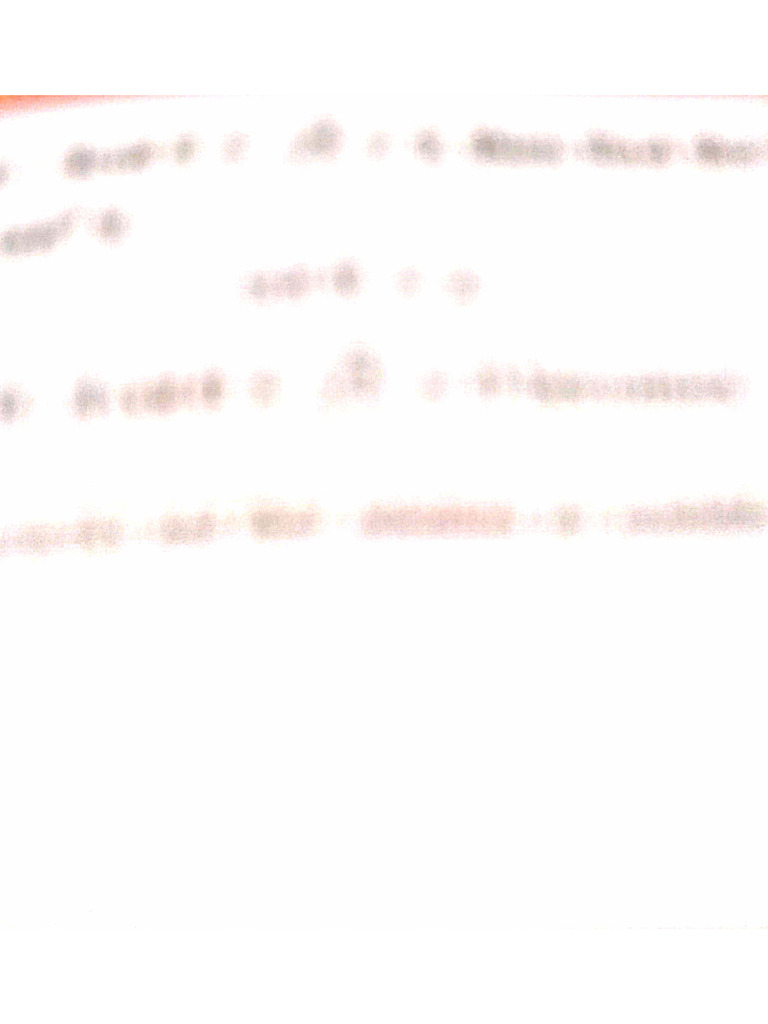 Docscanner 31 Dec 2024 8 05 Pm Pdf