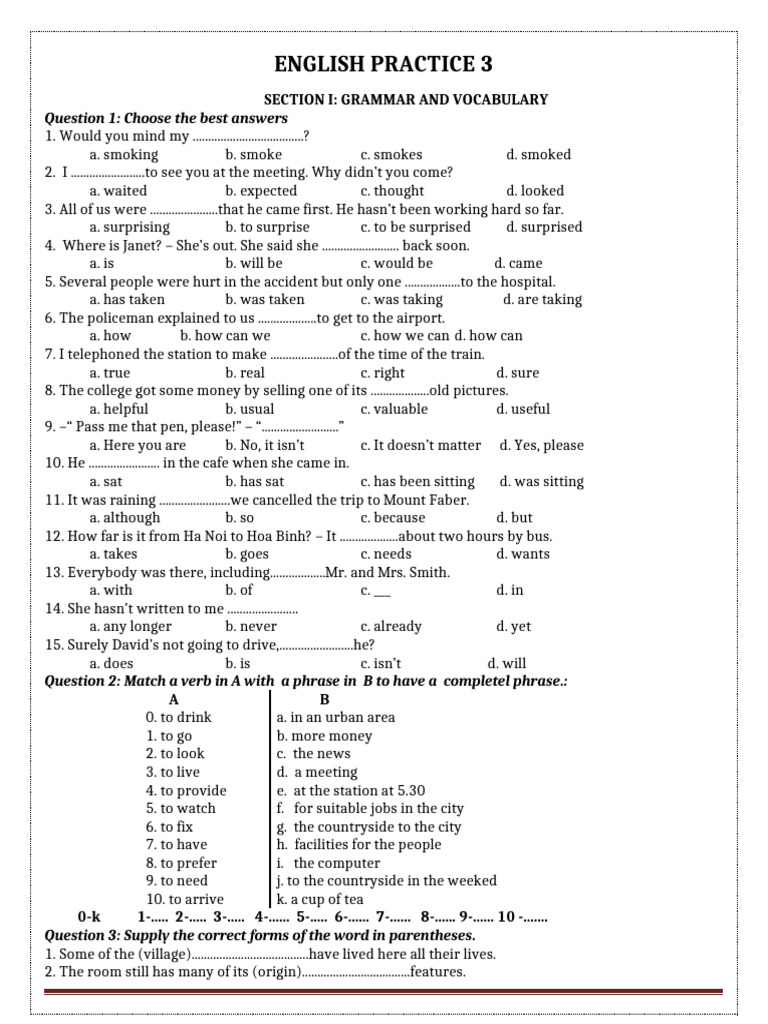 English Grammar and Vocabulary Practice | PDF