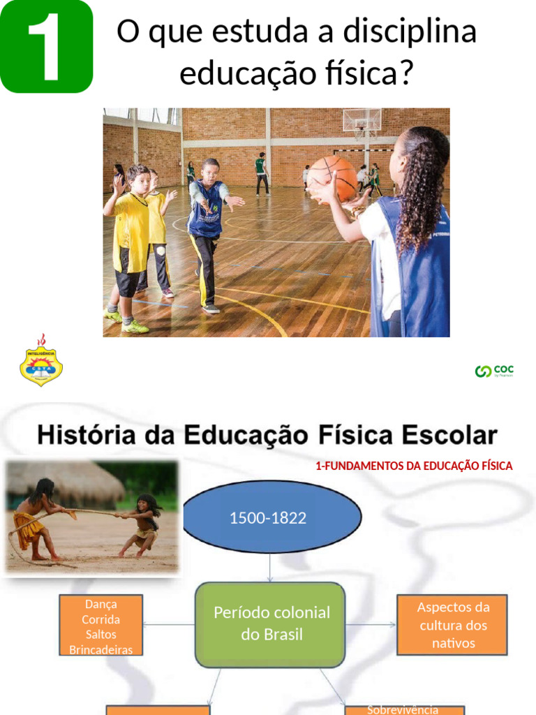 História da Educação Física no Brasil | PDF | Educação Física | Ginástica