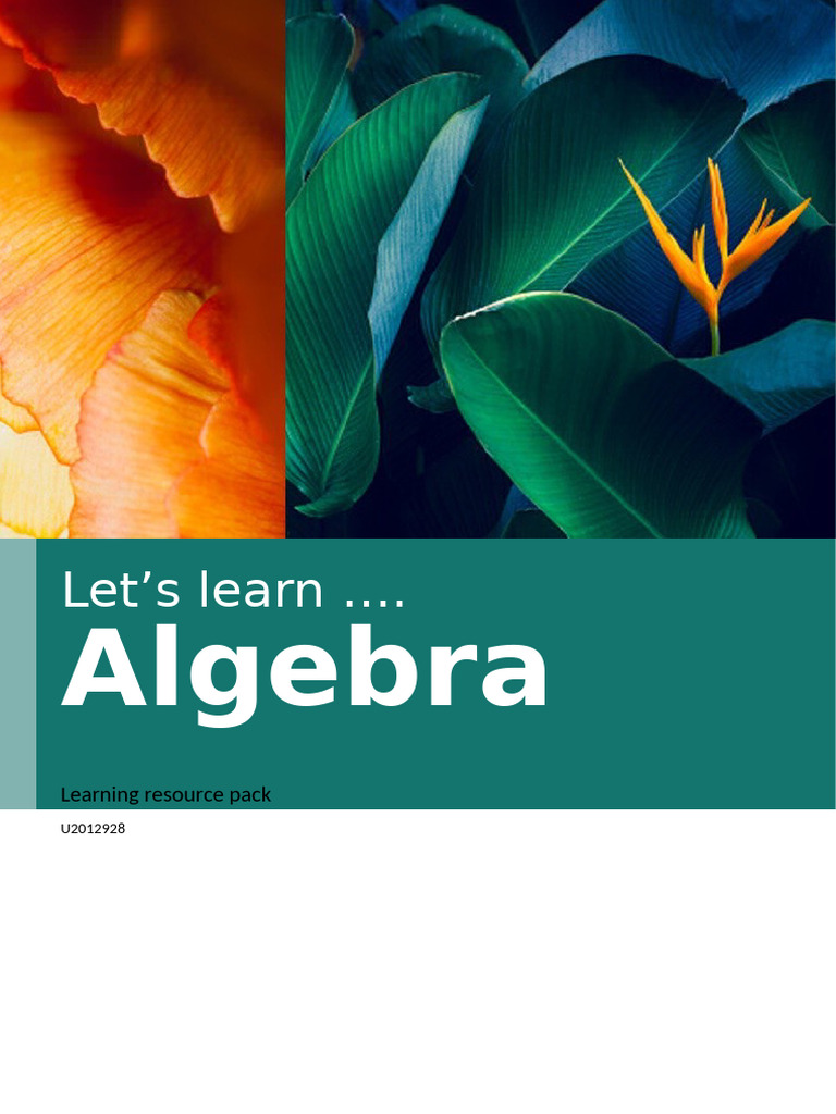Algebra Basics: Concepts & Practice | PDF | Function (Mathematics ...