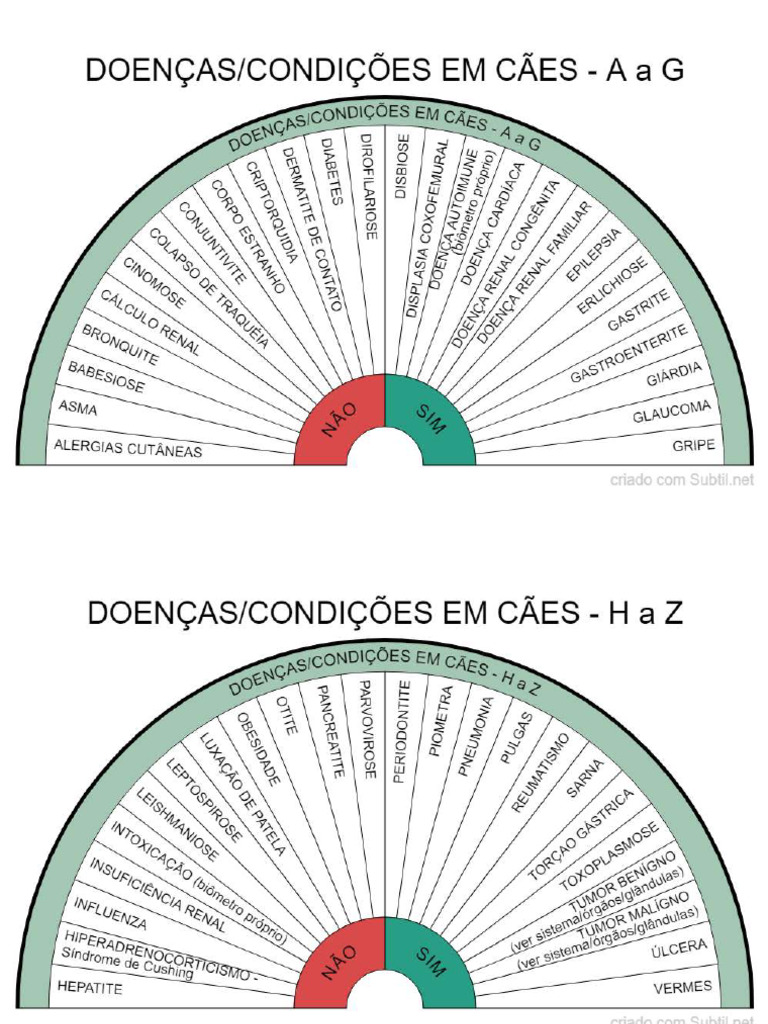 Doenças-Condições em Cães | PDF