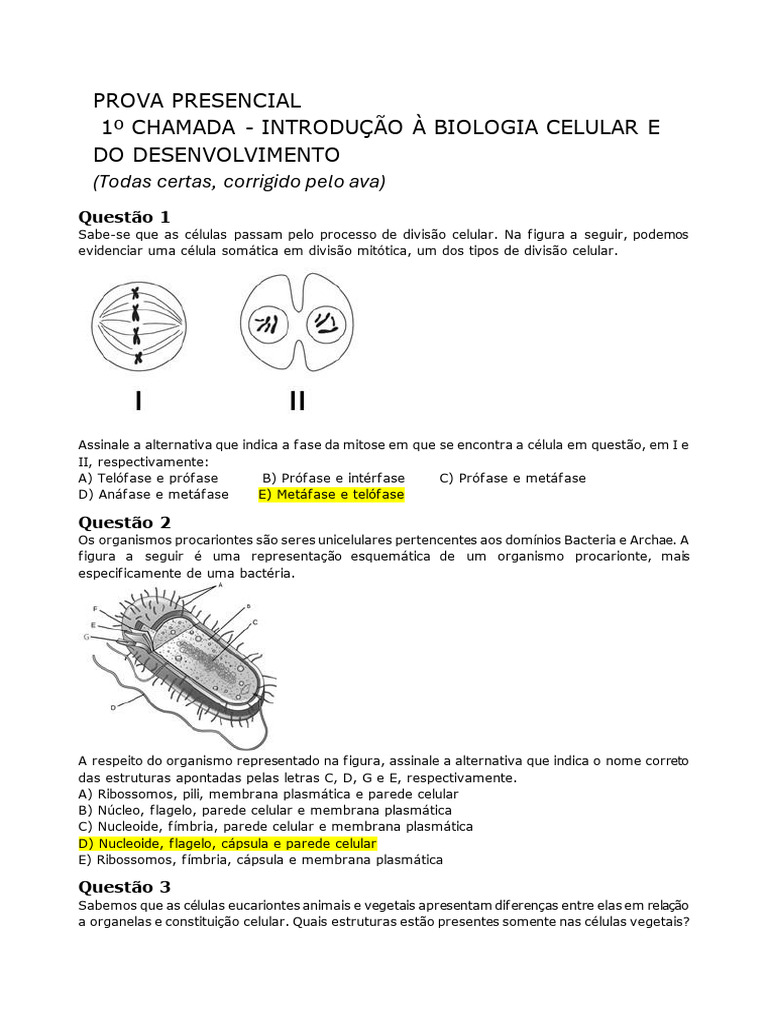Prova Presencial 1º Chamada - Introdução À Biologia Celular e Do  Desenvolvimento | PDF | Célula (Biologia) | RNA, image size:768x1024