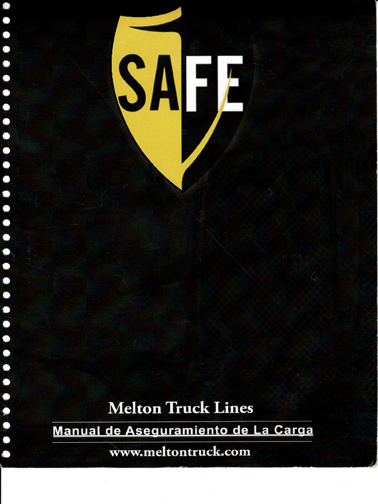 Safe | PDF