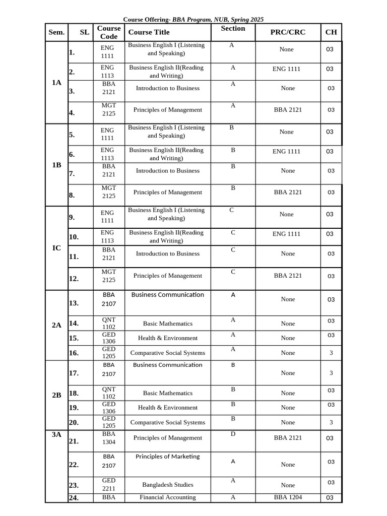 BBA Program Course Offerings Spring 2025 | PDF | Business | Business ...