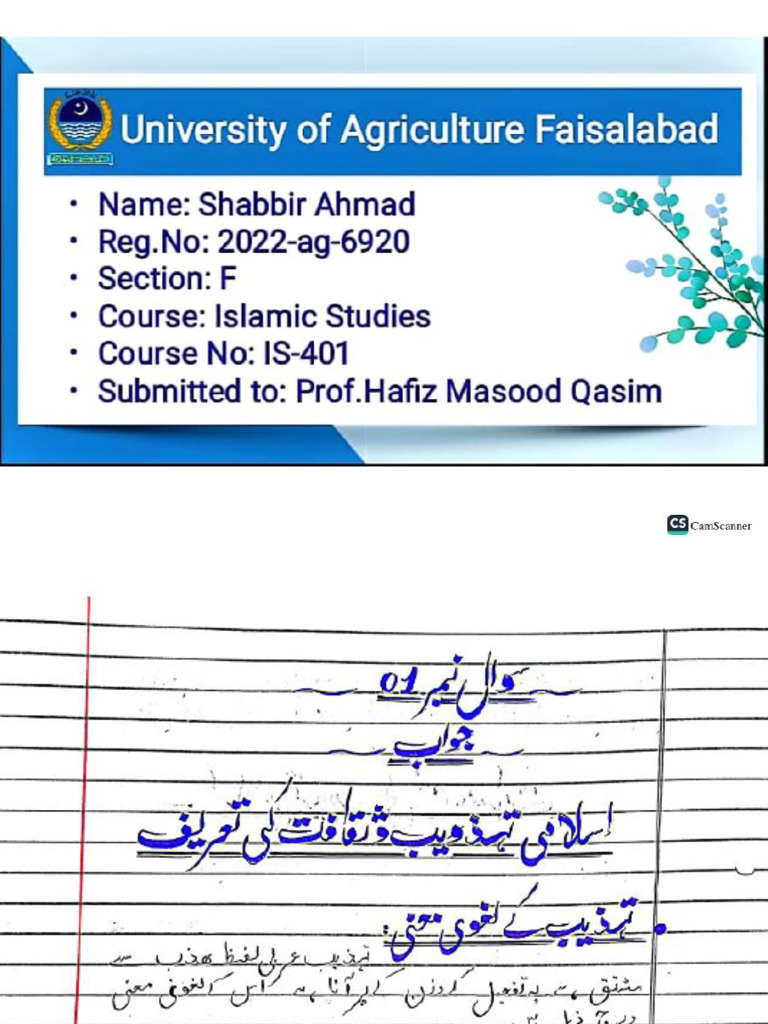 Is 401 Assignment Sect F Pdf