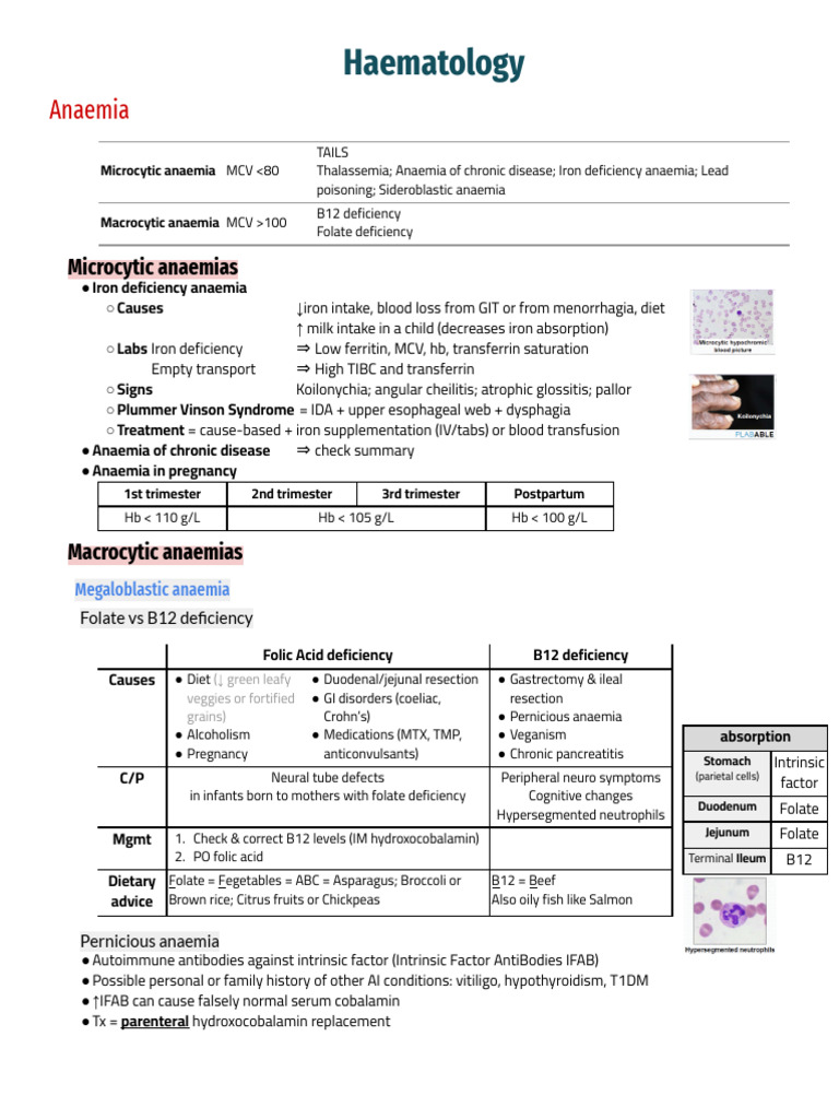 Haematology | PDF | Anemia | Lymphoma